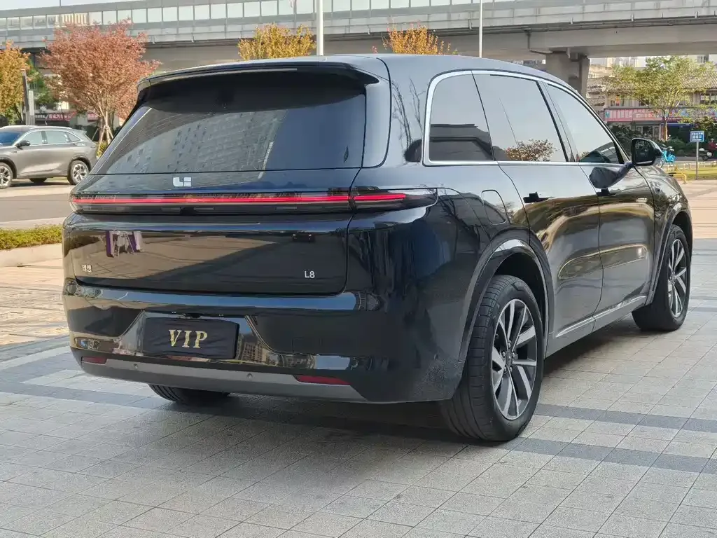 Li Auto Li L8 2025 из CN, фото 9