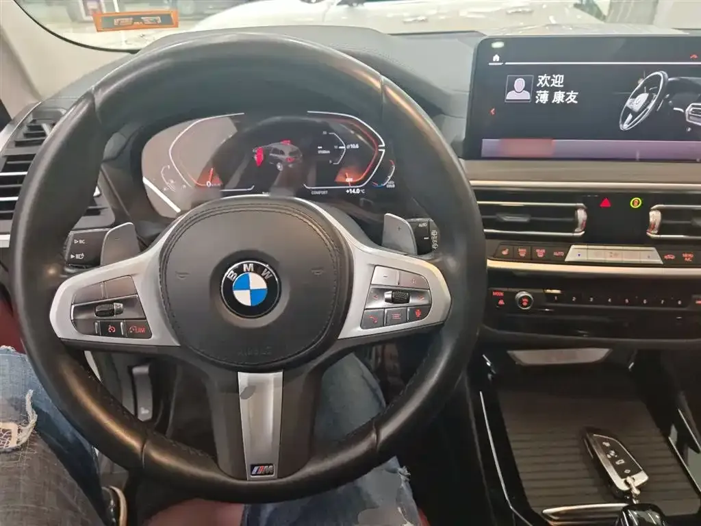 BMW X3 2024 из CN, фото 6
