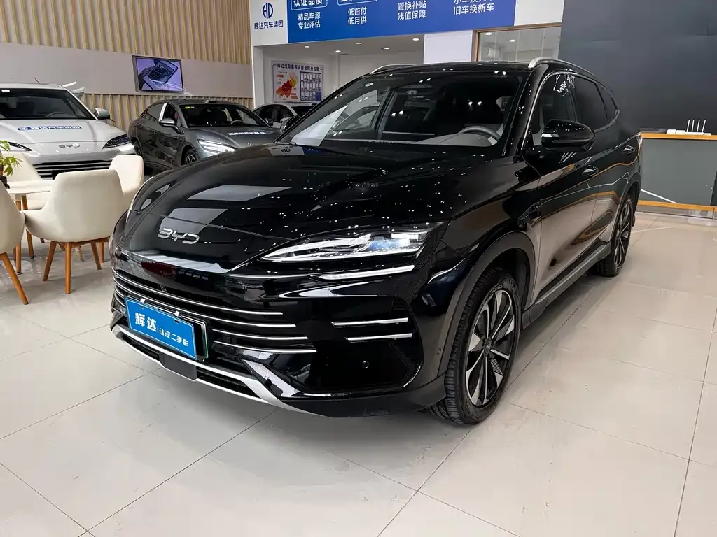 BYD PLUS New Energy 2025 из CN, фото 1