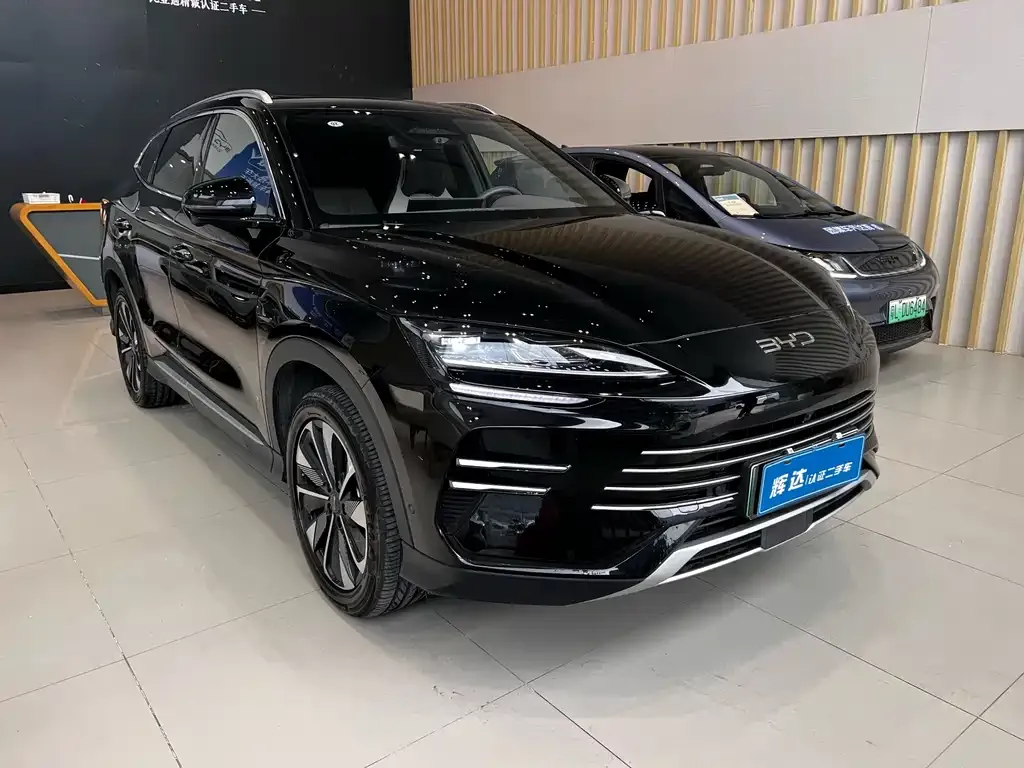 BYD PLUS New Energy 2025 из CN, фото 10