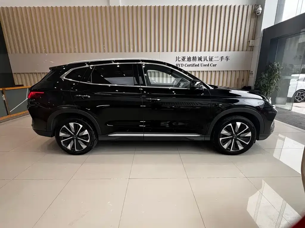 BYD PLUS New Energy 2025 из CN, фото 7