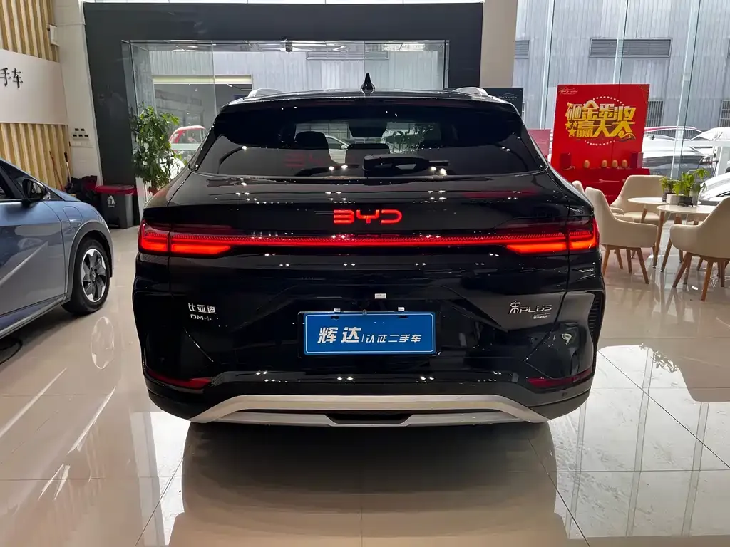 BYD PLUS New Energy 2025 из CN, фото 4