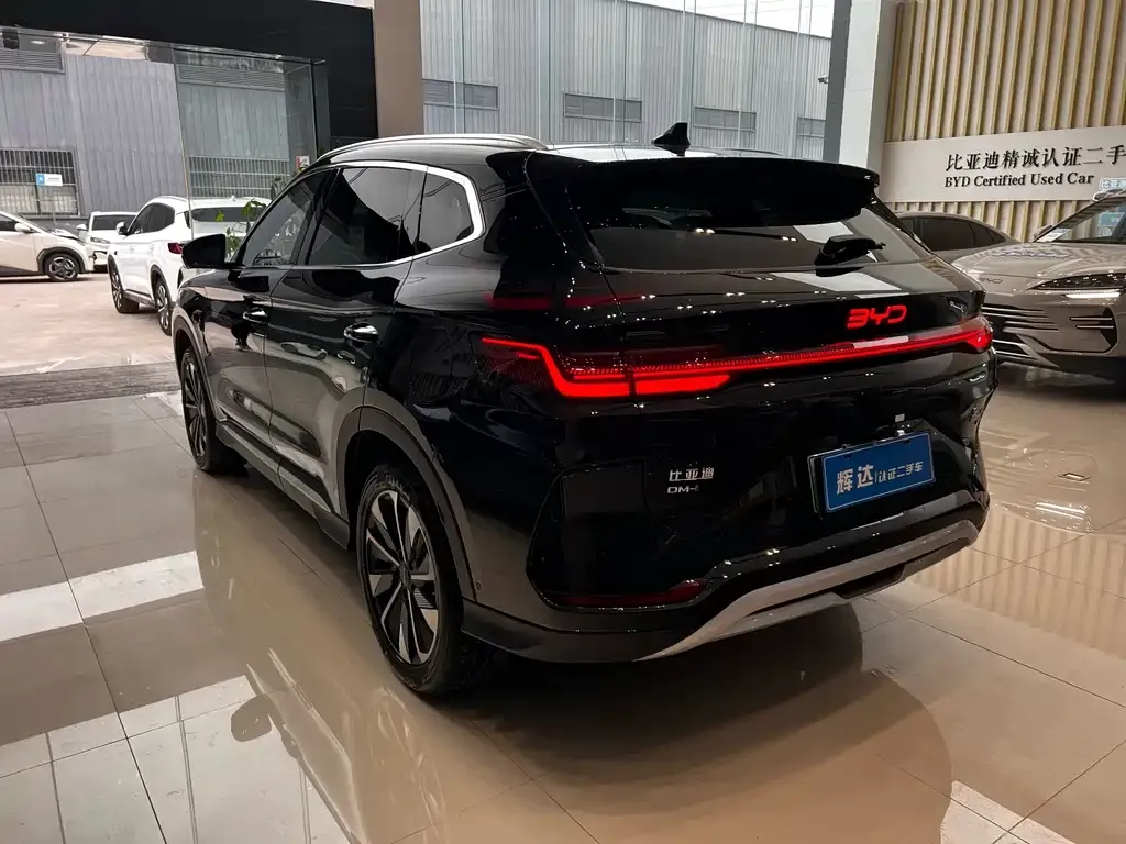 BYD PLUS New Energy 2025 из CN, фото 2