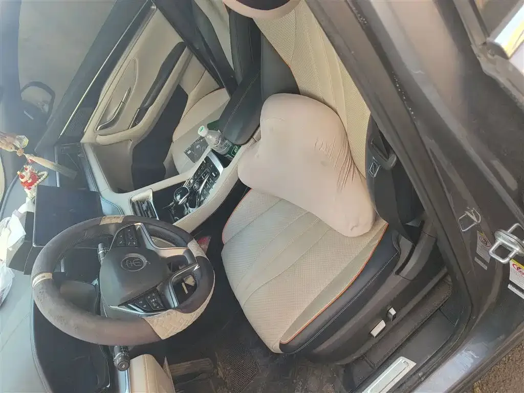 BYD PLUS New Energy — фото 10