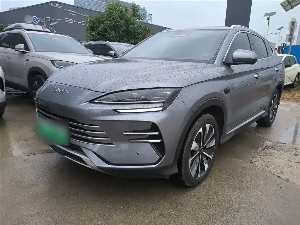 BYD PLUS New Energy 2025 из CN, фото 2