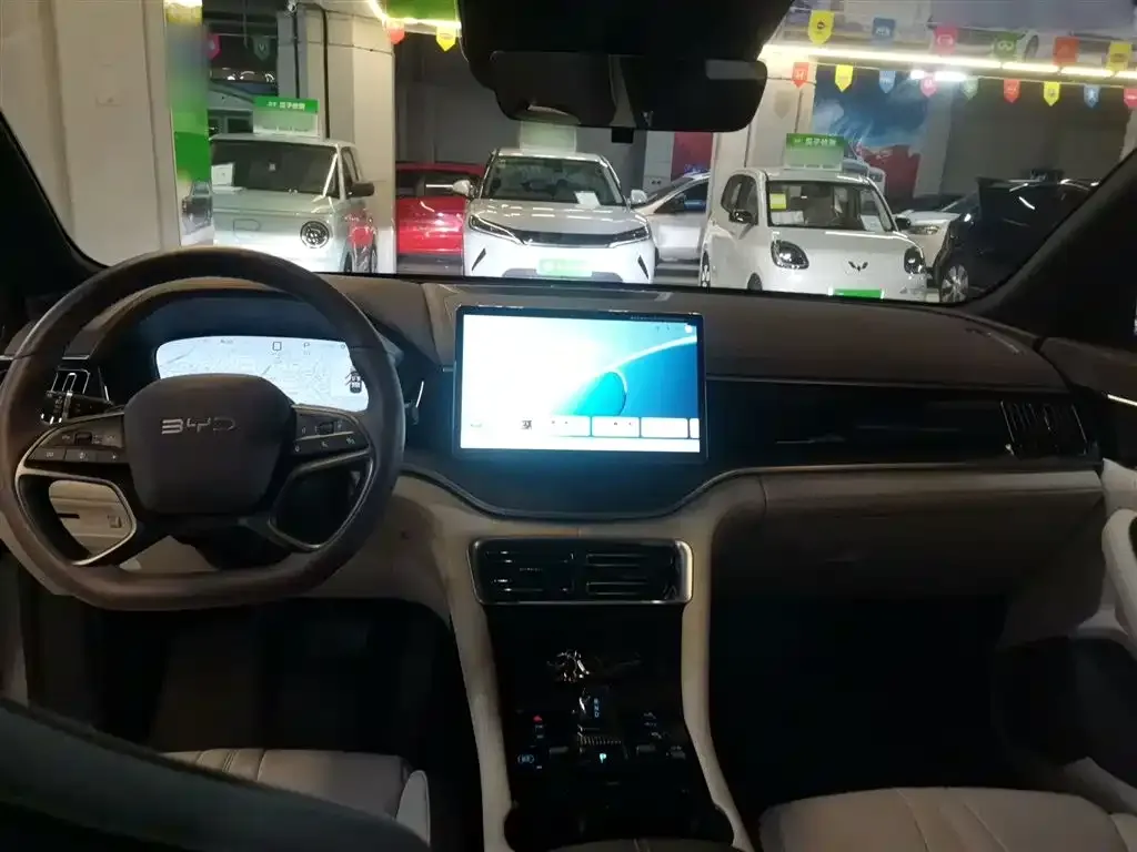 BYD PLUS New Energy 2025 из CN, фото 10