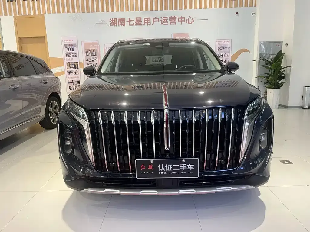 Hongqi HS7 PHEV 2024 из CN, фото 9