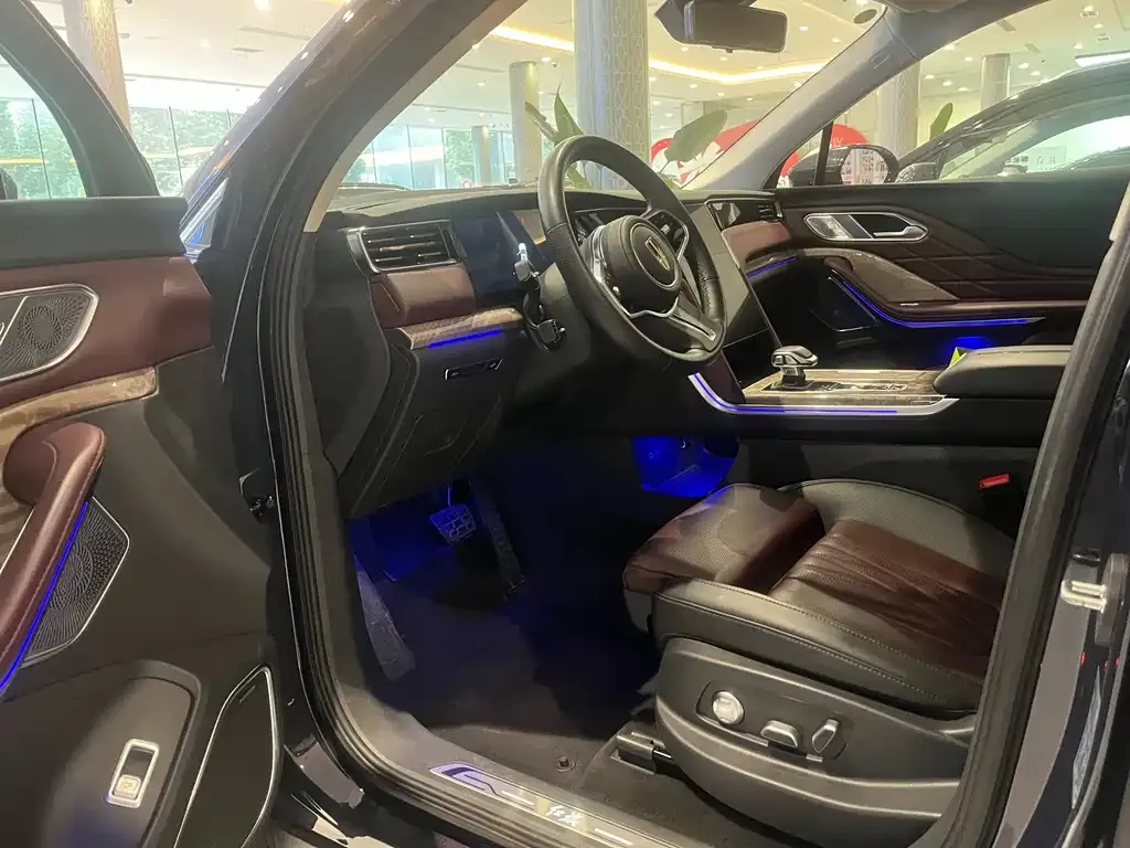 Hongqi HS7 PHEV 2024 из CN, фото 6