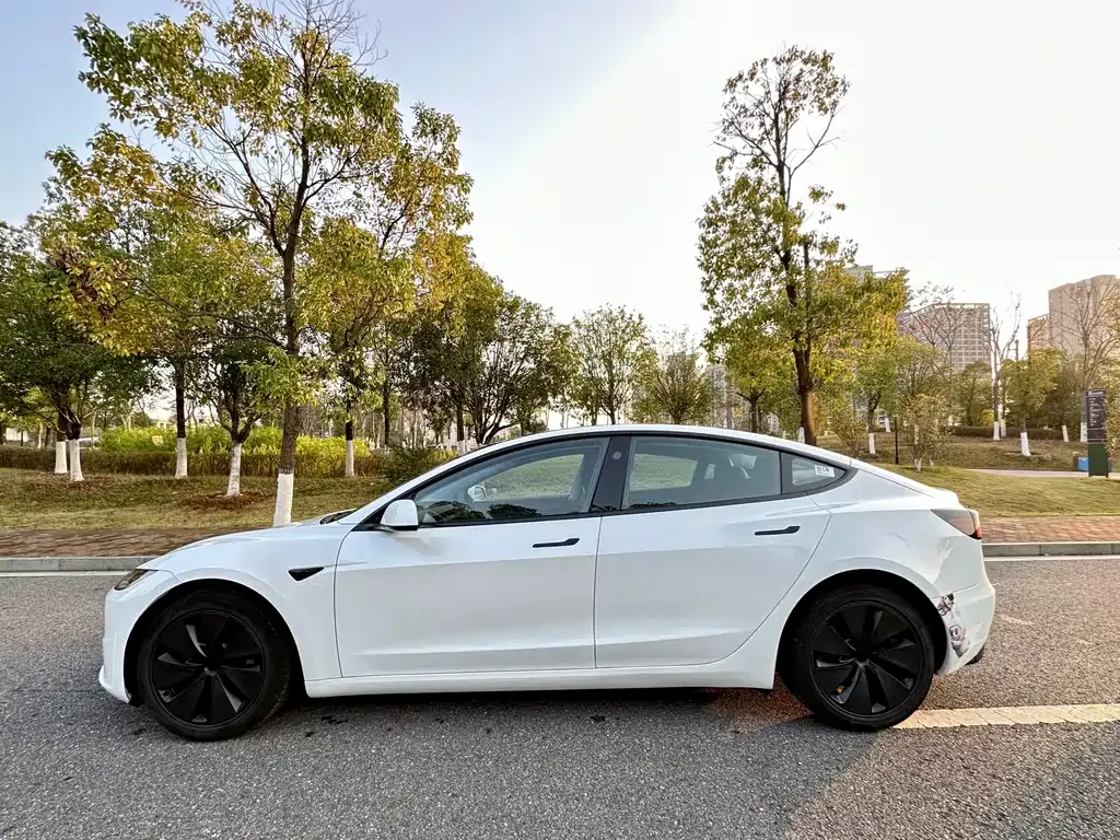 Tesla Model 3 2025 из CN, фото 7
