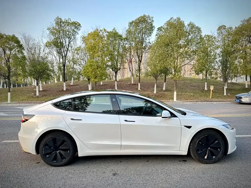 Tesla Model 3 2025 из CN, фото 9