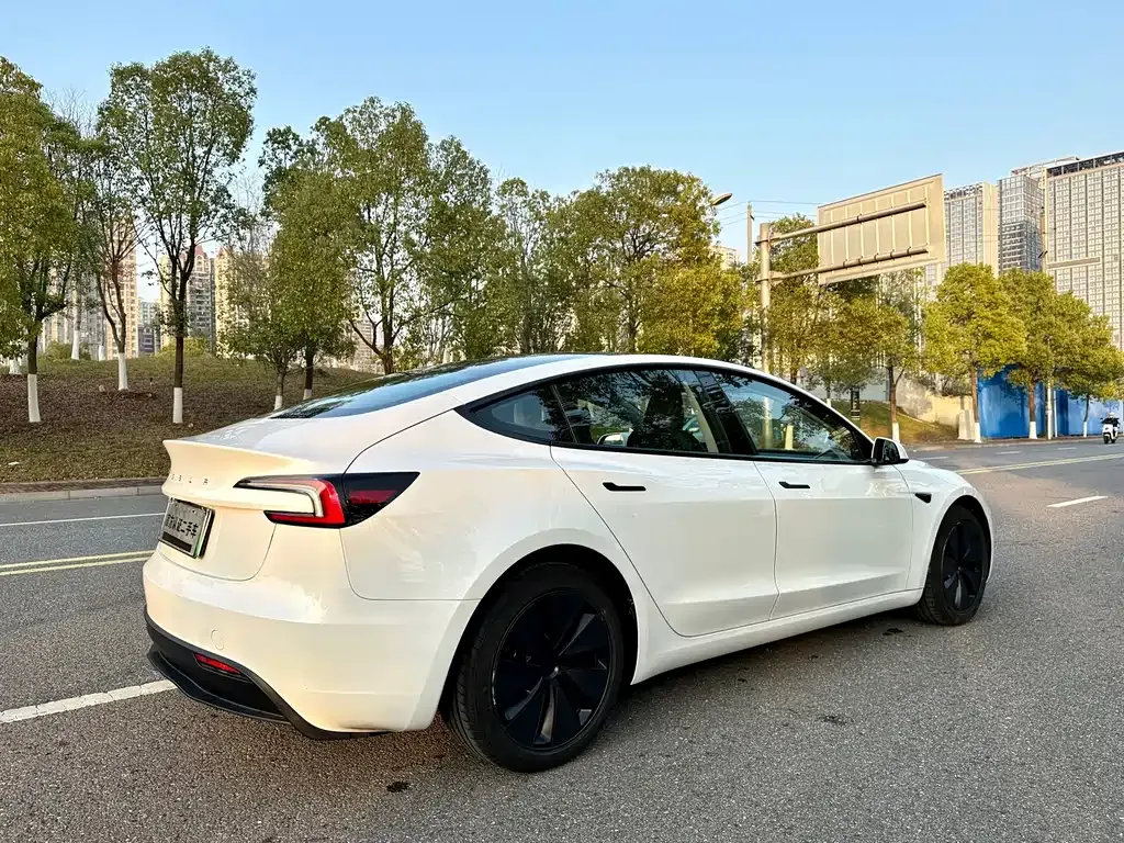 Tesla Model 3 2025 из CN, фото 8