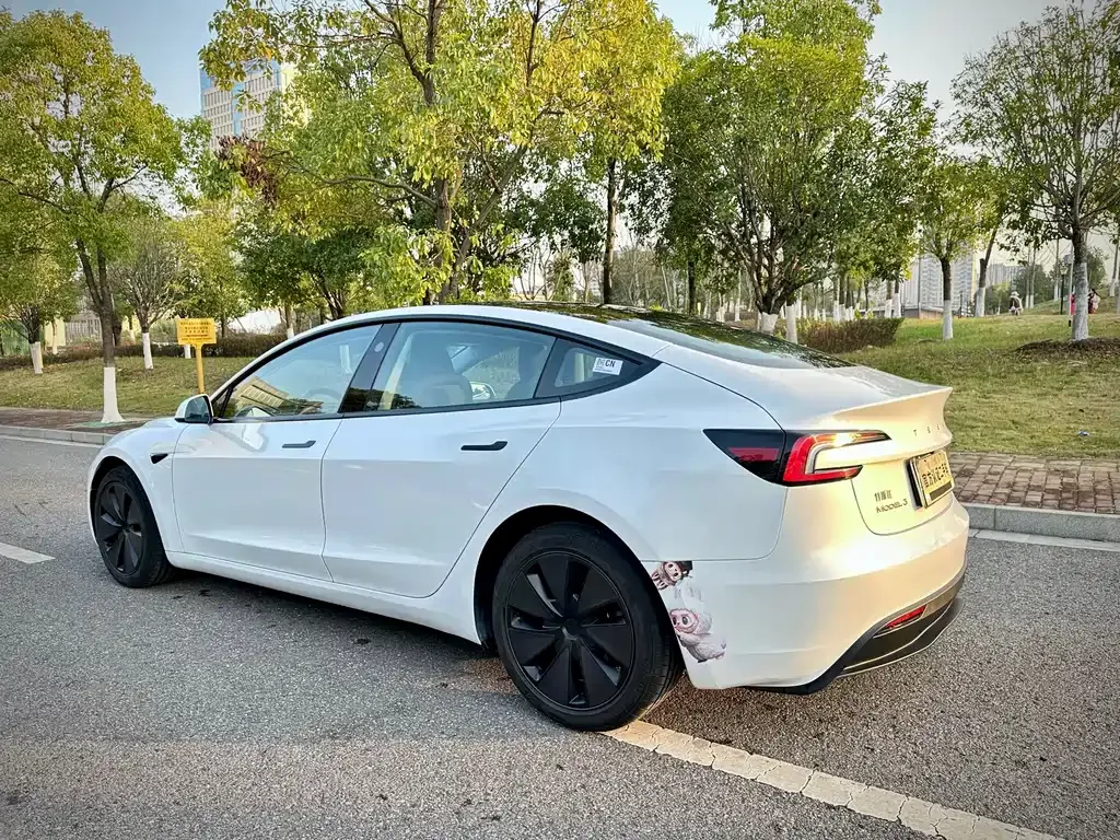 Tesla Model 3 2025 из CN, фото 10