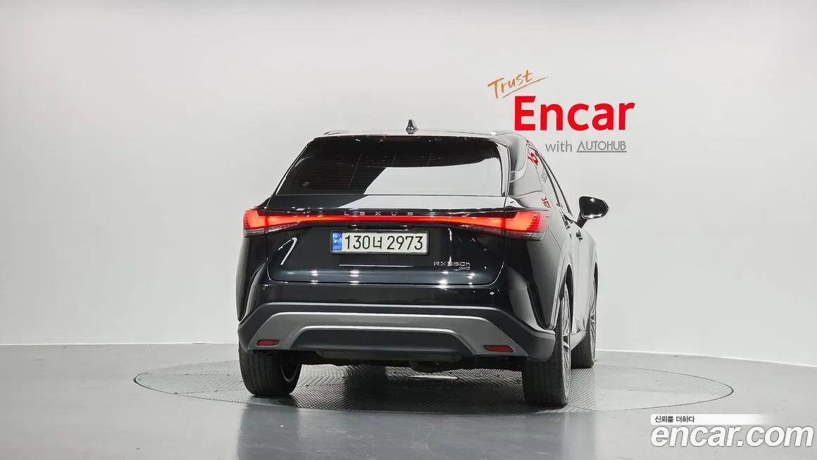 Lexus RX 2024 из KR, фото 4