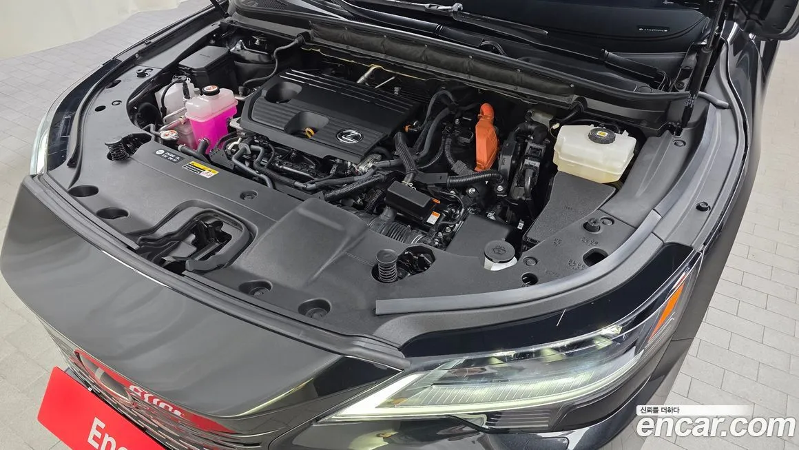 Lexus RX 2024 из KR, фото 6