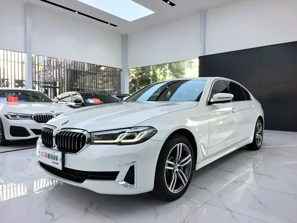 BMW 5 Series 2021 из CN, фото 1