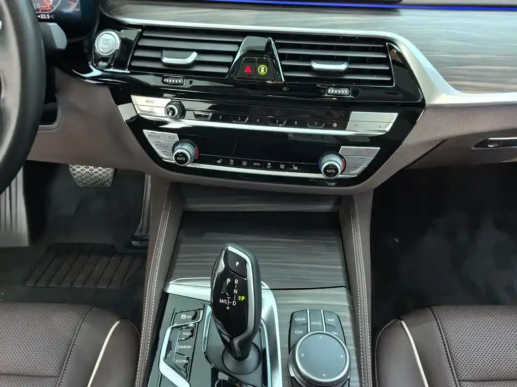BMW 5 Series 2021 из CN, фото 6
