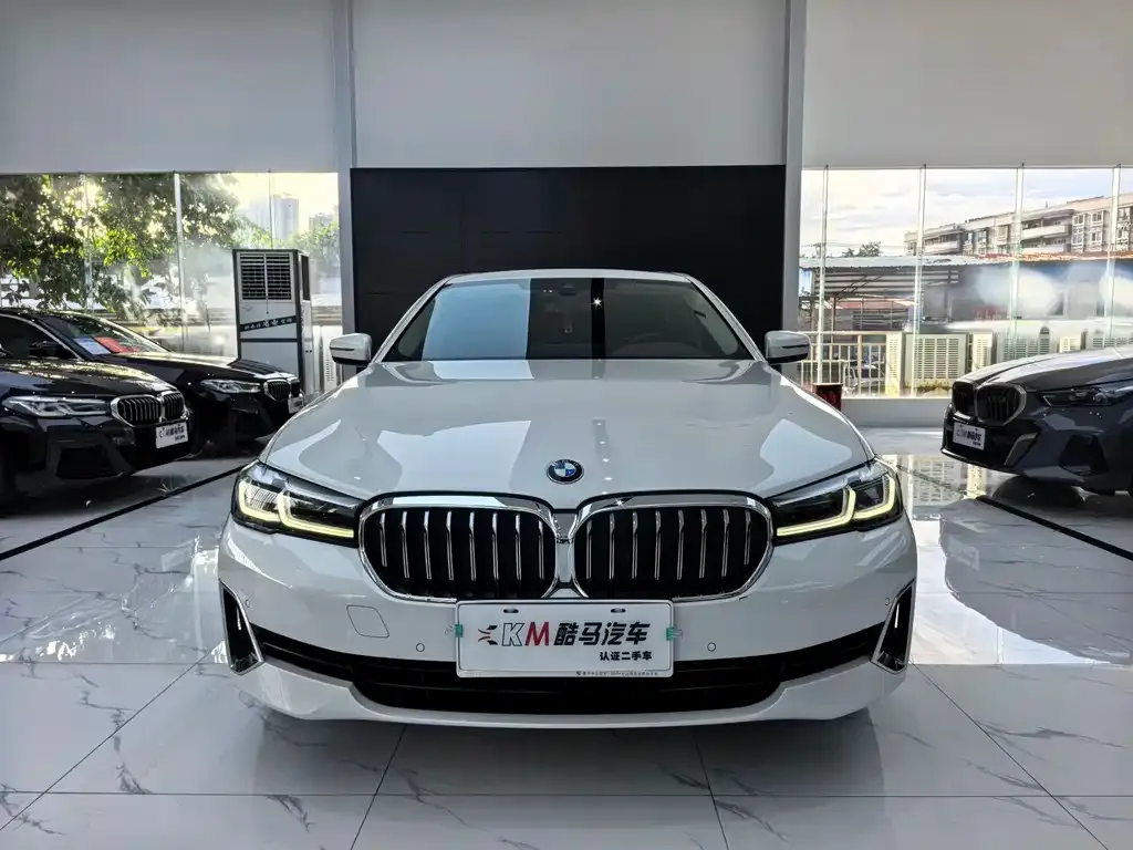 BMW 5 Series 2021 из CN, фото 2