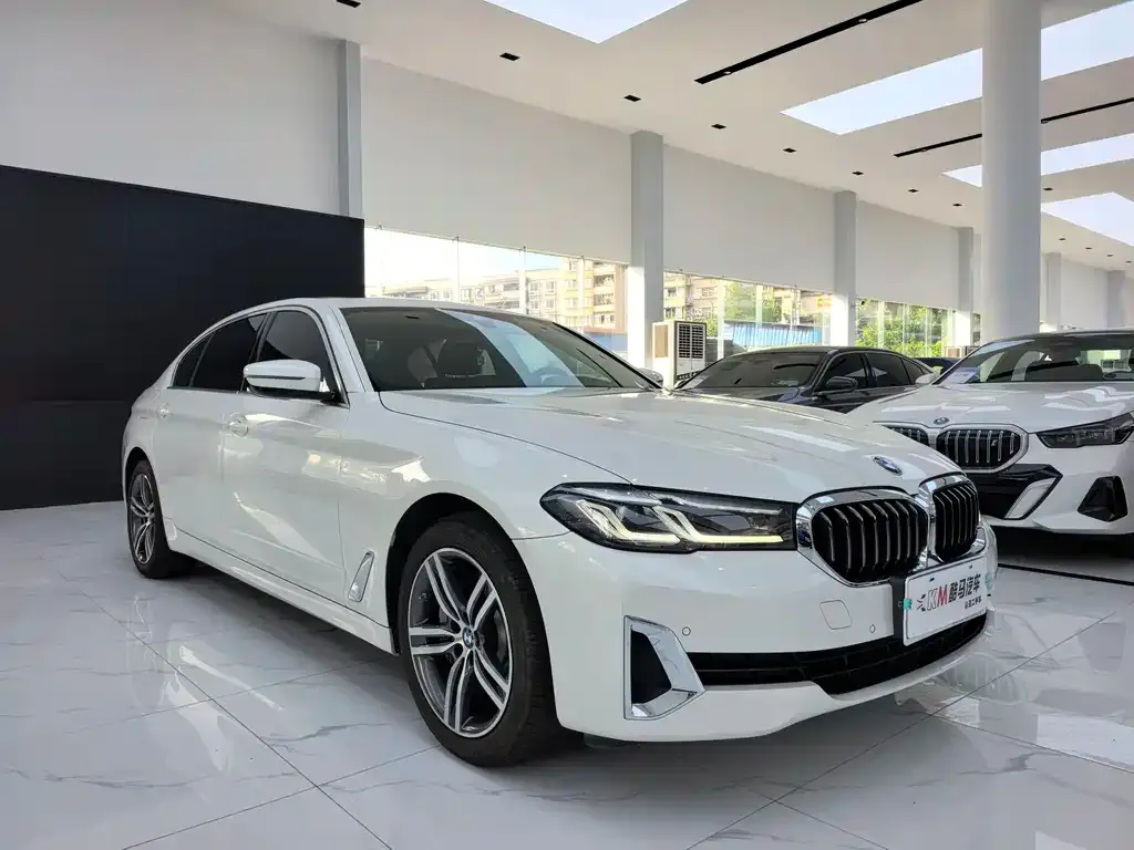 BMW 5 Series 2021 из CN, фото 3