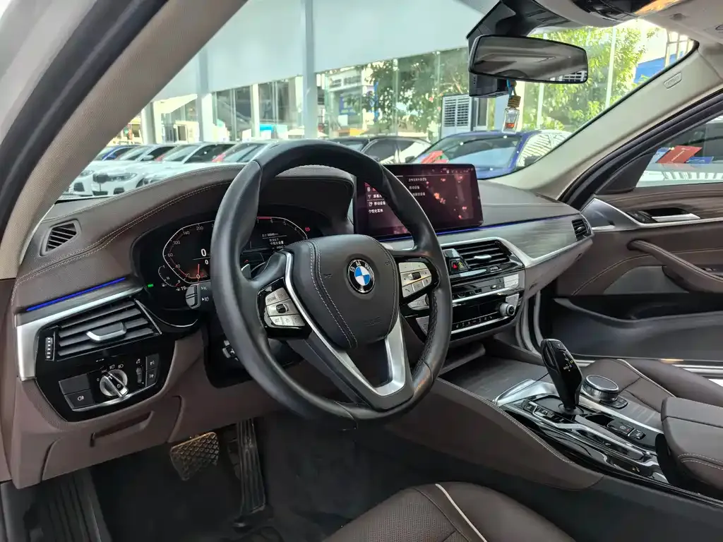 BMW 5 Series 2021 из CN, фото 10