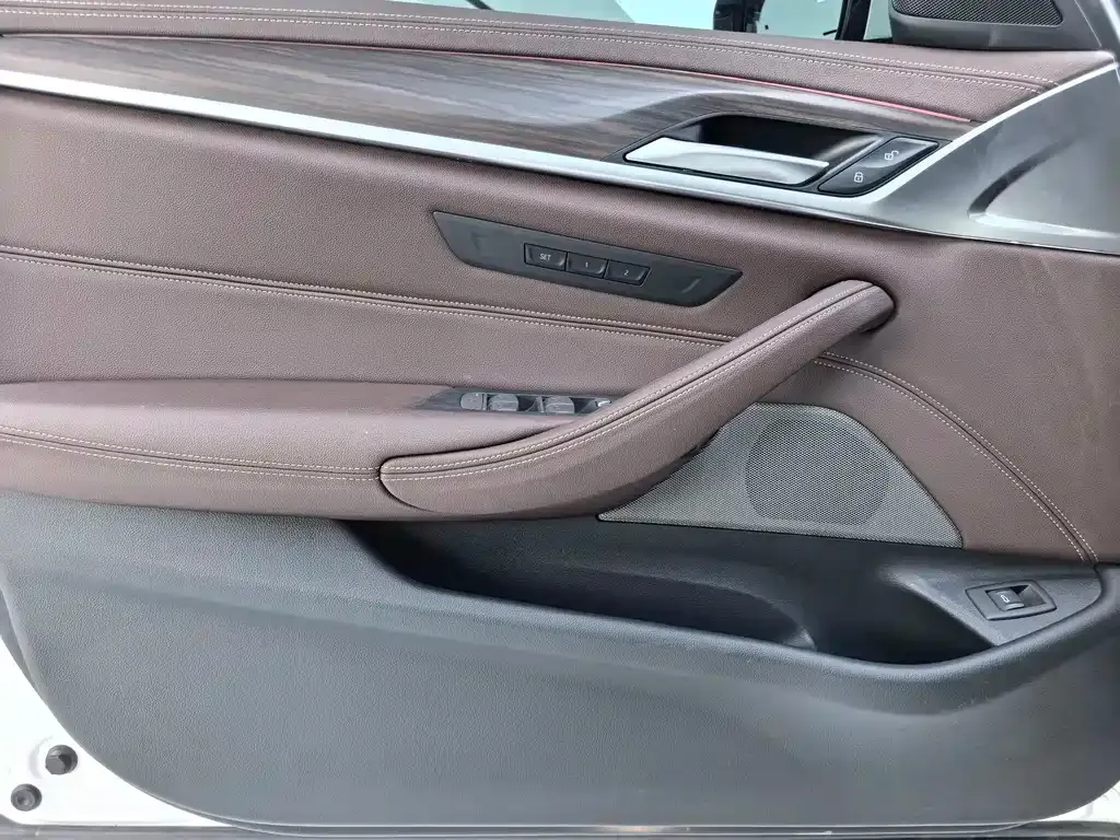 BMW 5 Series 2021 из CN, фото 9