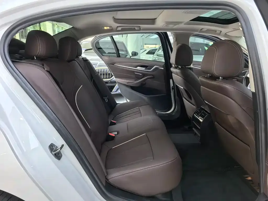 BMW 5 Series 2021 из CN, фото 4