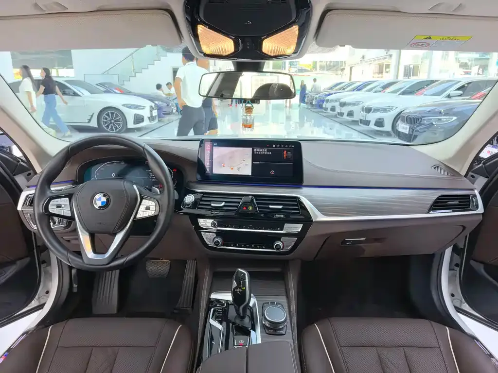BMW 5 Series 2021 из CN, фото 7
