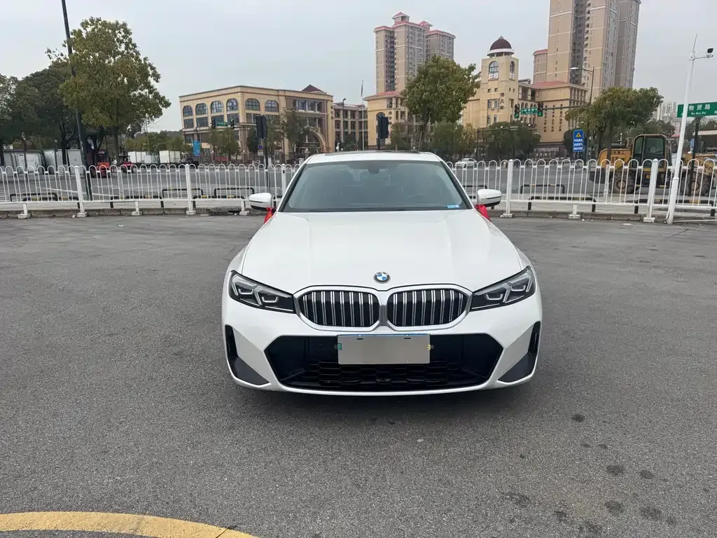 BMW 3 Series 2022 из CN, фото 10