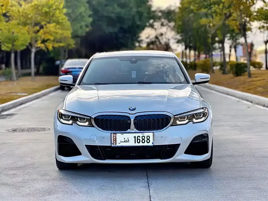 BMW 3 Series 2021 из CN, фото 5