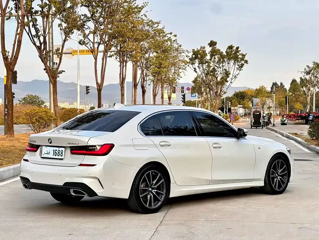 BMW 3 Series 2021 из CN, фото 9