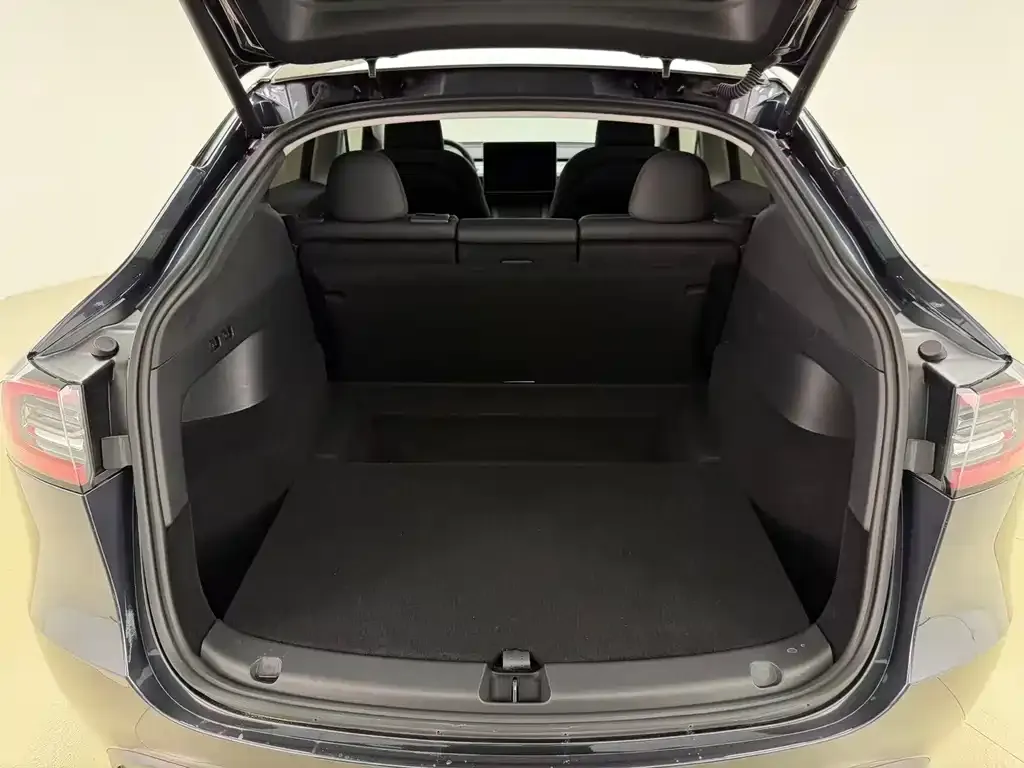Tesla Model Y 2024 из CN, фото 5