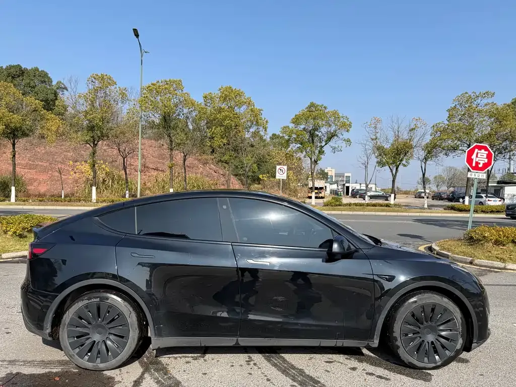 Tesla Model Y 2023 из CN, фото 9