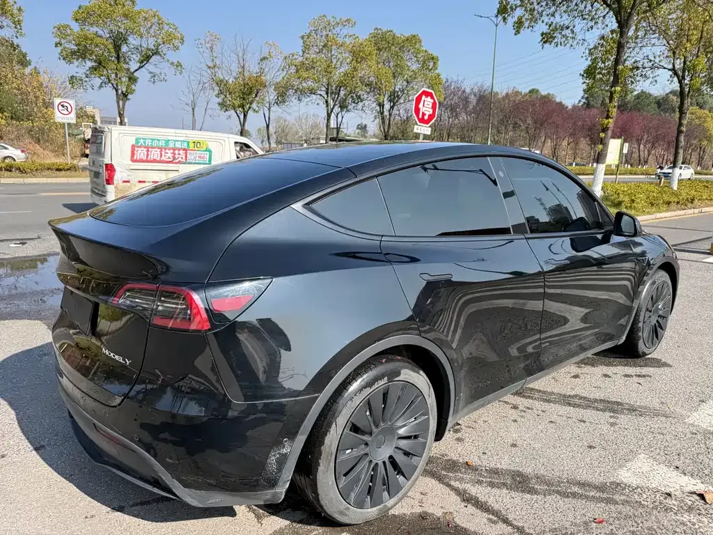 Tesla Model Y 2023 из CN, фото 10
