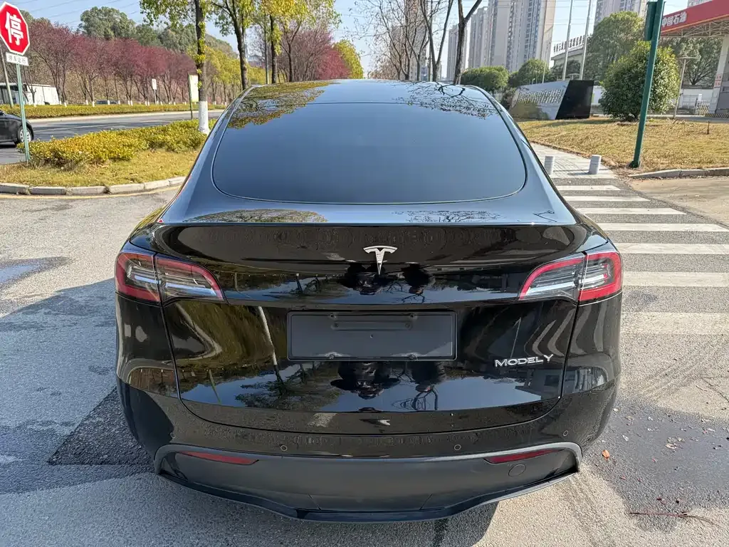 Tesla Model Y 2023 из CN, фото 6