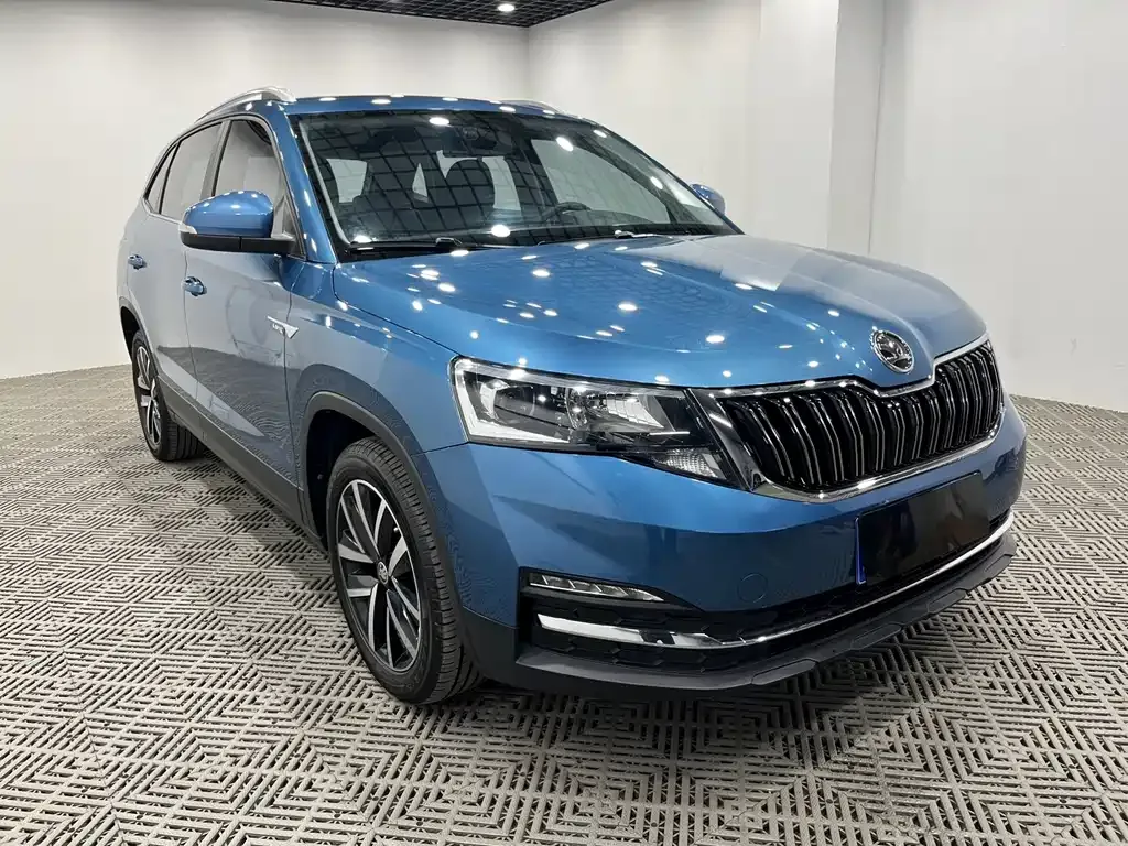 Skoda Kamiq 2021 из CN, фото 7