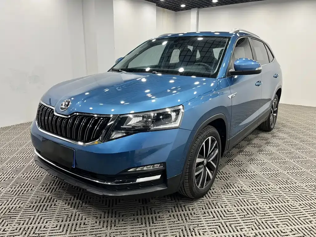 Skoda Kamiq 2021 из CN, фото 4