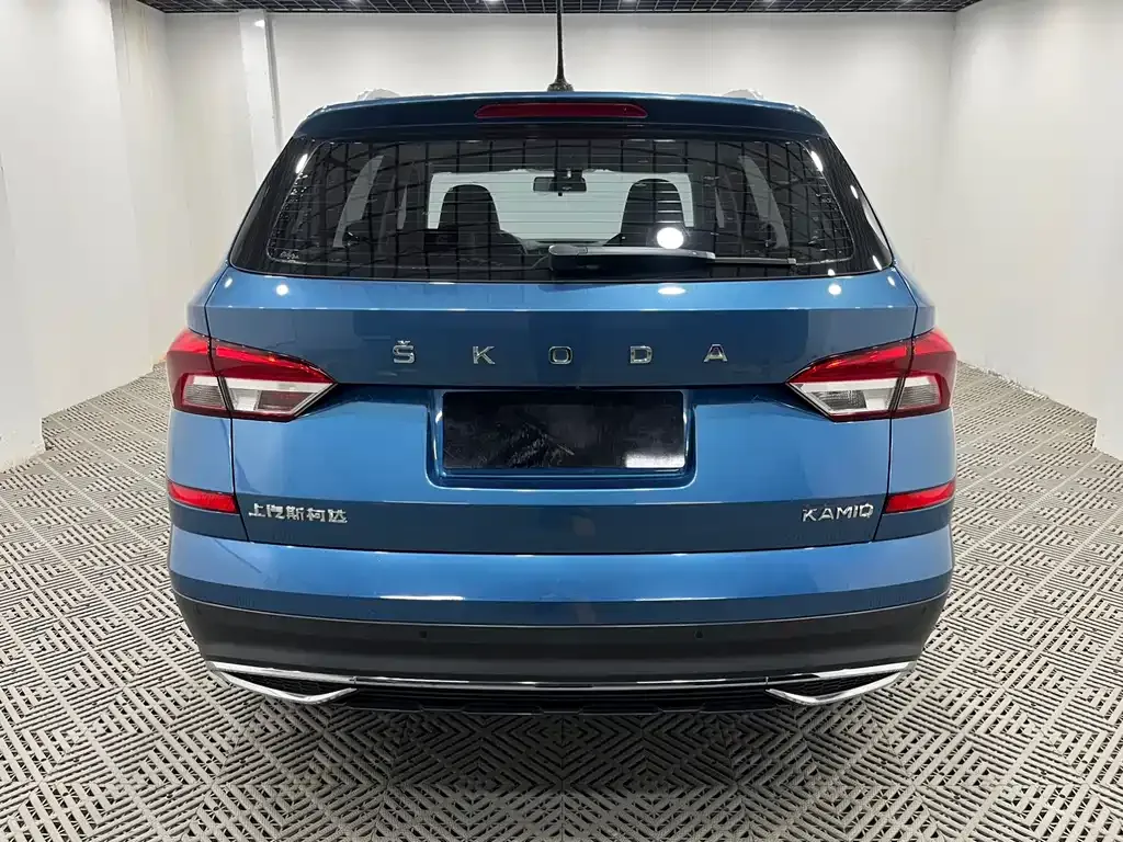Skoda Kamiq 2021 из CN, фото 5