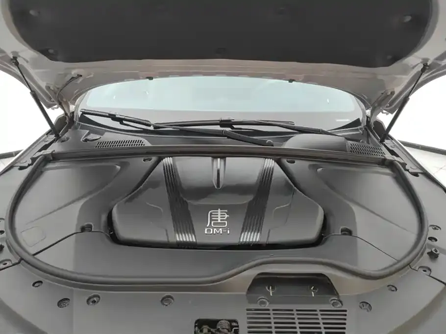 BYD Tang New Energy 2025 из CN, фото 10