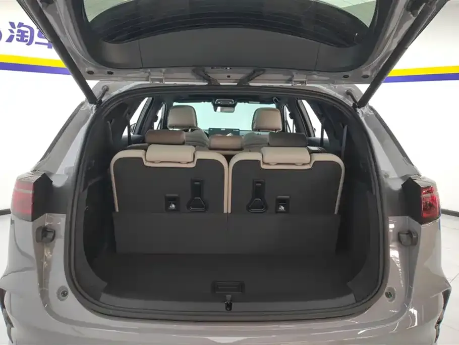 BYD Tang New Energy 2025 из CN, фото 4