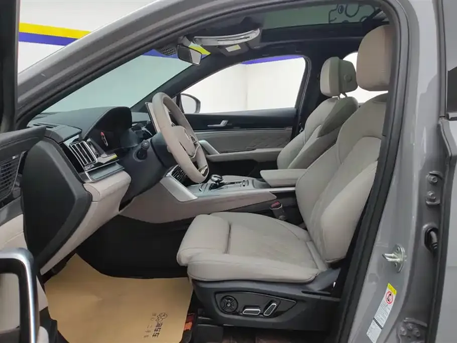 BYD Tang New Energy 2025 из CN, фото 9