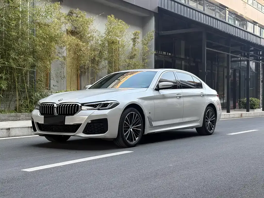 BMW 5 Series 2022 из CN, фото 1