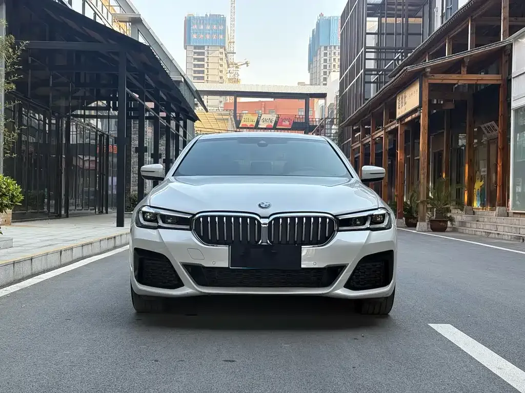 BMW 5 Series 2022 из CN, фото 8