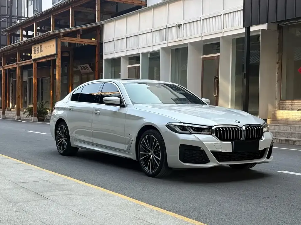 BMW 5 Series 2022 из CN, фото 3