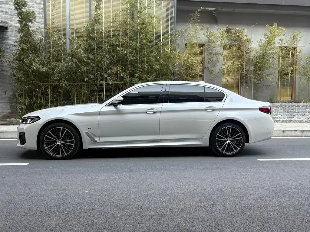 BMW 5 Series 2022 из CN, фото 10