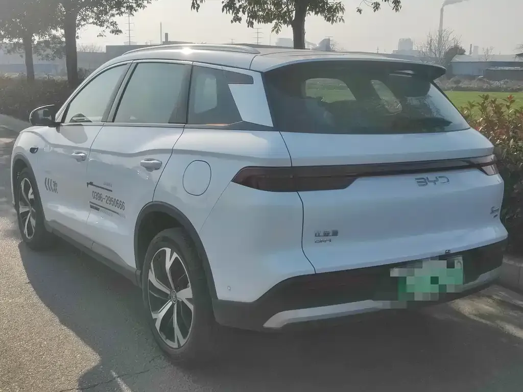 BYD Pro New Energy 2025 из CN, фото 6