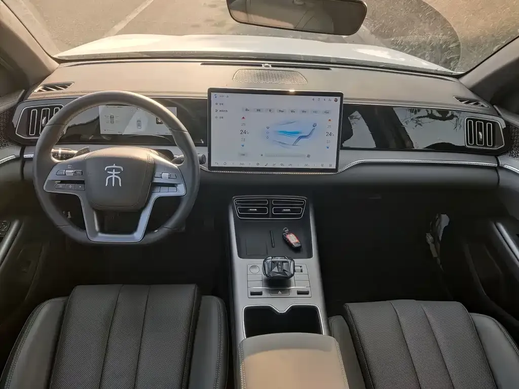 BYD Pro New Energy 2025 из CN, фото 10