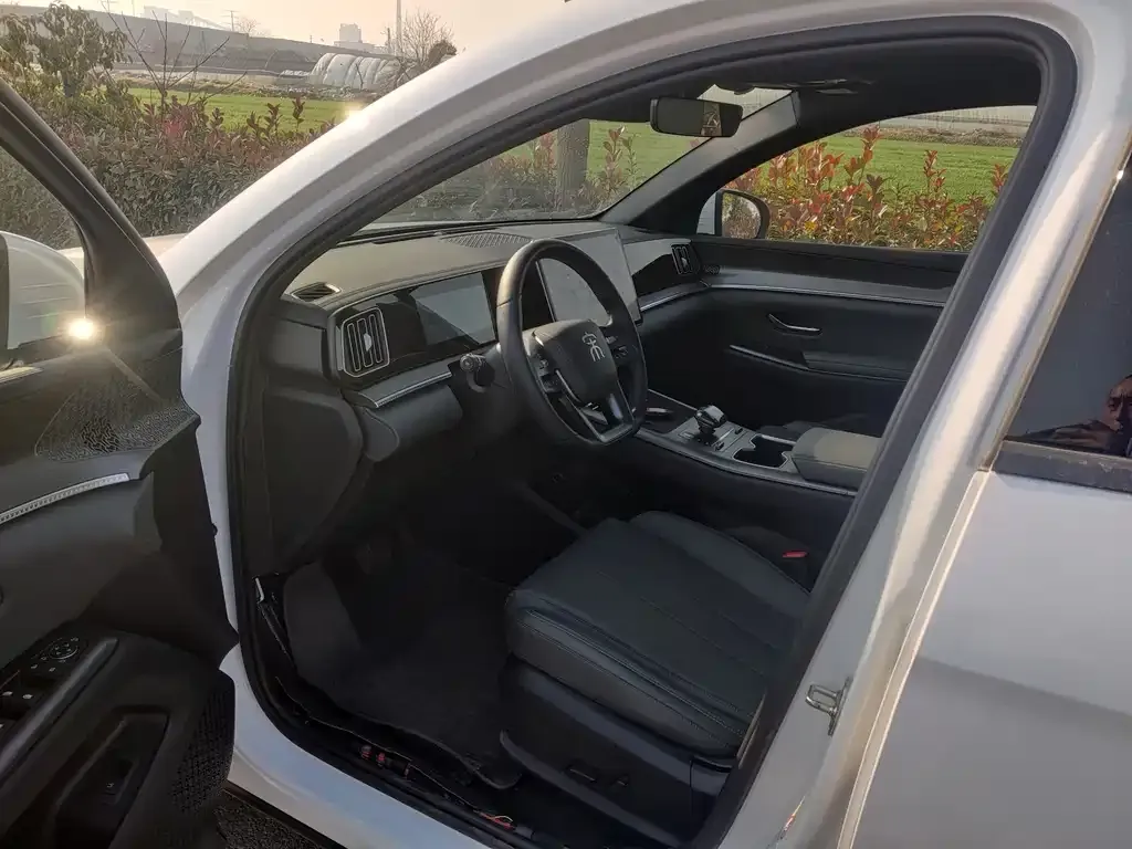 BYD Pro New Energy 2025 из CN, фото 5