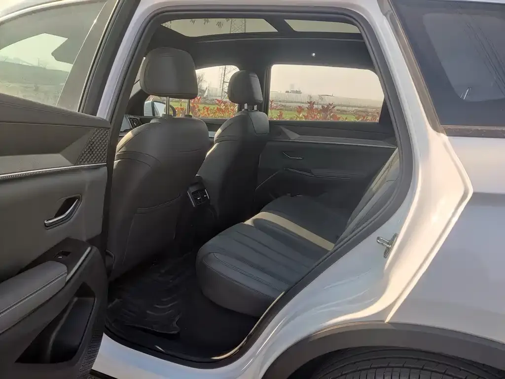 BYD Pro New Energy 2025 из CN, фото 4
