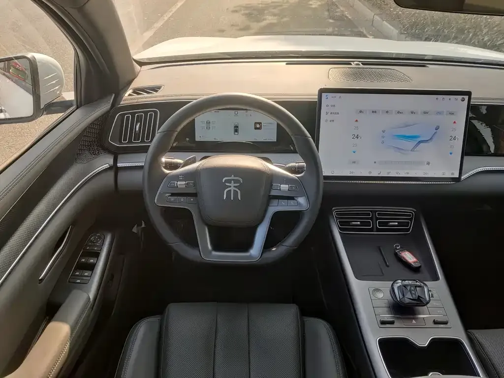 BYD Pro New Energy 2025 из CN, фото 7