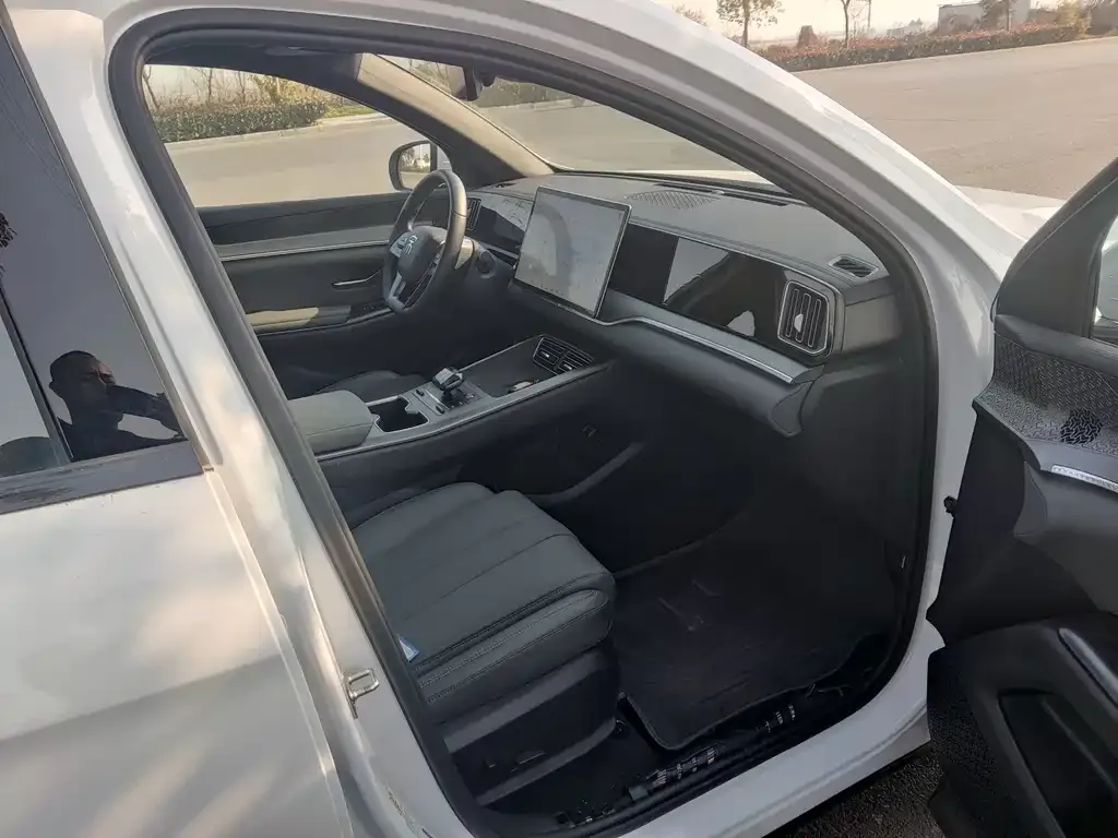 BYD Pro New Energy 2025 из CN, фото 8