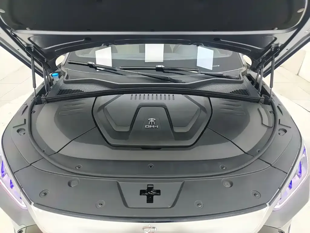 BYD PLUS New Energy 2023 из CN, фото 5